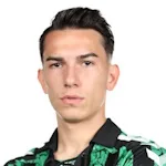 F. Gedik