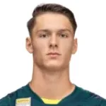 S. Hamzić