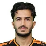 M. Hosseini